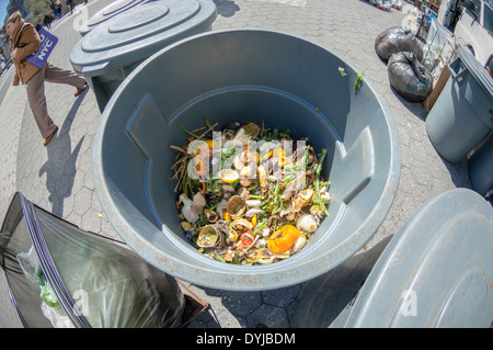 La collecte du compost au Greenmarket à Union Square à New York le Mercredi, Avril 16, 2014. (© Richard B. Levine) Banque D'Images