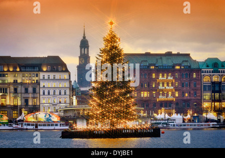 Alstertanne auf der à Hambourg Binnenalster, Deutschland, Europa Banque D'Images