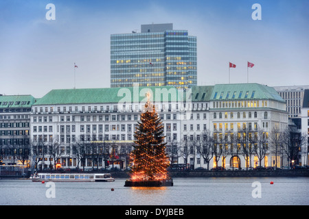 Alstertanne Binnenalster auf der vor dem Hotel Vier Jahreszeiten à Hamburg, Deutschland, Europa Banque D'Images