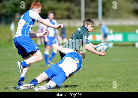 Hawick, Royaume-Uni.. - 19/Apr/2014 : RFC Hawick Mansfield Park, Rois de la 7s 2014, Rnd 3, 'La Banque Royale du Canada' Hawick Sevens Légende : Keith Davies efface le ballon après un plaquage de Jedforest Michael Plein temps hebdomadaire - 14 31 Hawick Jedforest Crédit : Rob Gray/Alamy Live News Banque D'Images