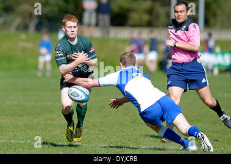 Hawick, Royaume-Uni.. - 19/Apr/2014 : RFC Hawick Mansfield Park, Rois de la 7s 2014, Rnd 3, 'La Banque Royale du Canada' Hawick Sevens Légende : Greg Cottrell perd contact avec le ballon après un plaquage de Jedforest Michael Plein temps hebdomadaire - 14 31 Hawick Jedforest Crédit : Rob Gray/Alamy Live News Banque D'Images