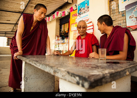 Thé des Moines ayant masala dans un magasin de thé à Bylakuppe, Inde. Banque D'Images