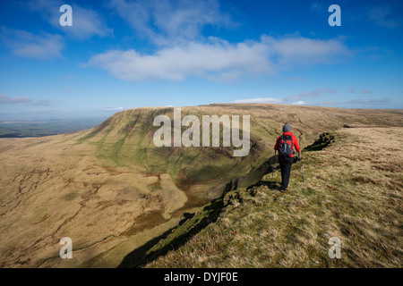 Female hiker randonnées sur sommet des Picws Du avec ventilateur Brycheiniog en distance, Black Mountain, parc national de Brecon Beacons, le Pays de Galles Banque D'Images