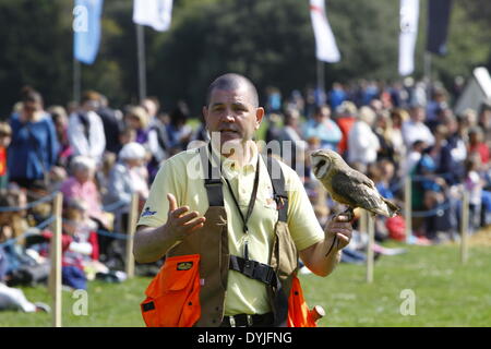 Dublin, Irlande. 19 avril 2014. Un falconer représente un hibou à la foule. Le 1 000 e anniversaire de la bataille de Clontarf entre le haut roi d'Irlande Brian Boru et une coalition de force les royaumes de Dublin, Leinster et Vikings a été célébrée avec un week-end de reconstitutions historiques, qui a réuni environ 40 000 visiteurs. Crédit : Michael Debets/Alamy Live News Banque D'Images