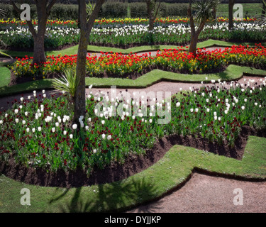 Go - DEVON : Torre Abbey Gardens à Torquay Banque D'Images