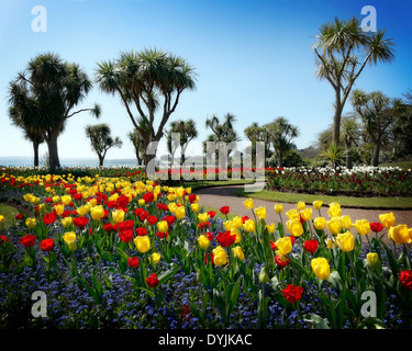 Go - DEVON : Torre Abbey Gardens à Torquay Banque D'Images