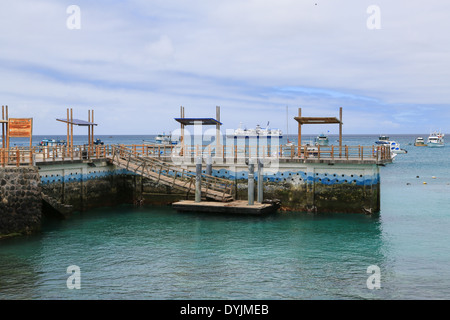 La marina quai à Shipwreck Bay, Puerto Baquerizo Moreno, San Cristobal Island, îles Galapagos, en Équateur. Banque D'Images