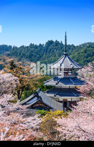 Au Japon, Yoshinoyama Kinpusenji Pagode du Temple. Banque D'Images