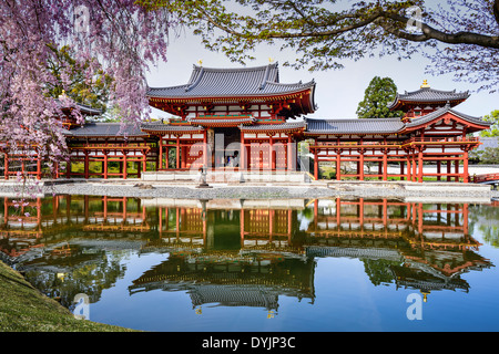 Kyoto, Japon à Temple Byodo-in. Banque D'Images