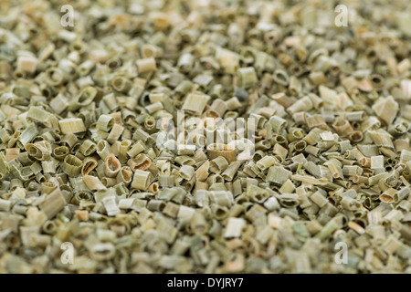 La ciboulette séchée de droit pour l'utilisation d'arrière-plan ou comme texture Banque D'Images