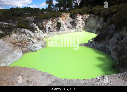 Wai-O-Tapu Nouvelle Zélande Banque D'Images