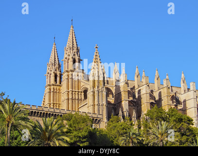 Cathédrale de Palma de Majorque, Îles Baléares, Espagne Banque D'Images