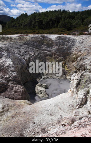 Wai-O-Tapu Nouvelle Zélande Banque D'Images