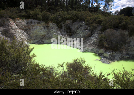 Wai-O-Tapu Nouvelle Zélande Banque D'Images