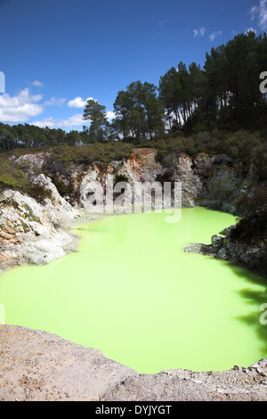 Wai-O-Tapu Nouvelle Zélande Banque D'Images