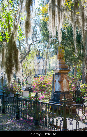 USA Georgia GA Savannah Cimetière Bonaventure vieille espace funéraire Banque D'Images