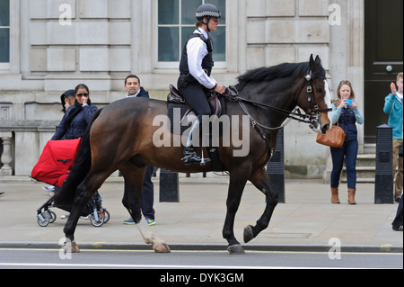 Un agent de police métropolitaine de la police montée de la rue de Londres, Angleterre, Royaume-Uni. Banque D'Images