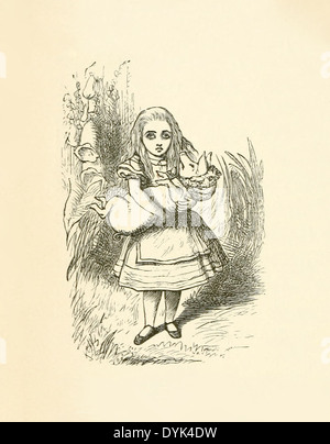 John Tenniel (1820-1914) Illustration de Lewis Carroll, "Alice au pays des merveilles' publié en 1865. Alice et le bébé cochon. Banque D'Images