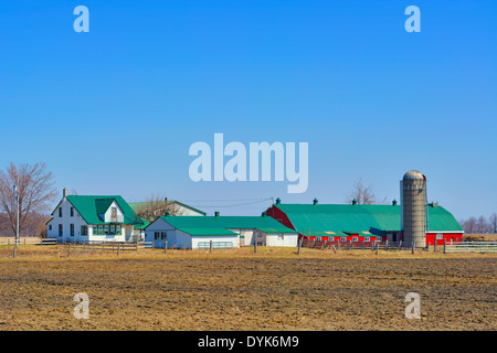 L'Ontario, Canada, St Jacobs Village, ferme en pays Mennonite Banque D'Images