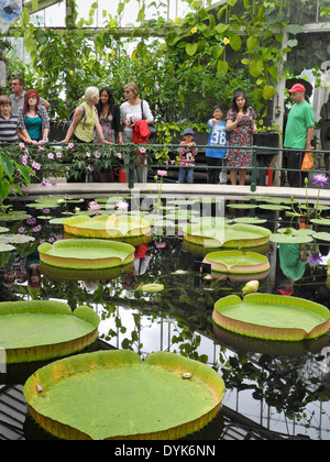 Les visiteurs de l'eau Lily House, Kew Gardens, Kew, Londres, UK Banque D'Images