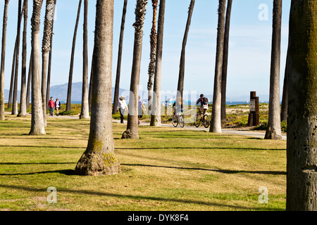 Les personnes bénéficiant d'une promenade à pied ou rouler le long d'un sentier de plage parmi les palmiers avec seulement les lignes externes montrant à Santa Barbara, en Californie. Banque D'Images