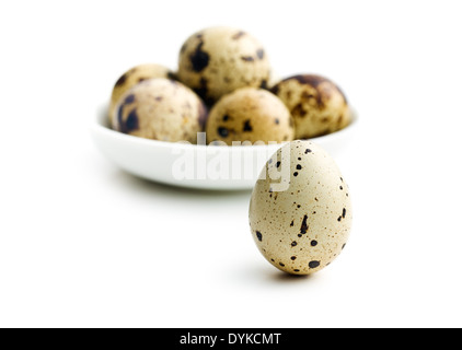 Oeufs de caille sur fond blanc Banque D'Images