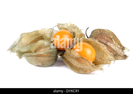 Kapstachelbeere Kap-Stachelbeere, Physalis Physalis peruviana,,, de groseille, de cerise, au rez-de-péruvien Physalis (péruvien Physalis Banque D'Images