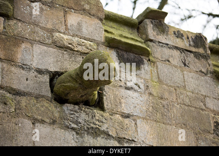 Une gargouille statue comme poussant hors du mur sur Eastgate l'un des murs autour de la cathédrale de Lincoln. Banque D'Images