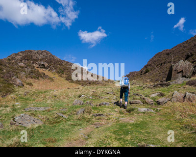 Walker femelle d'atteindre le sommet de MCG Bychan dans le parc national de Snowdonia Gwynedd au nord du Pays de Galles sur sentier public populaire dans la zone merveilleuse Banque D'Images