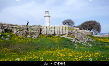 Fleurs de Printemps sous le phare de Paphos, sur l'île Méditerranéenne de Chypre. Photo : TERRY CARROTT Banque D'Images