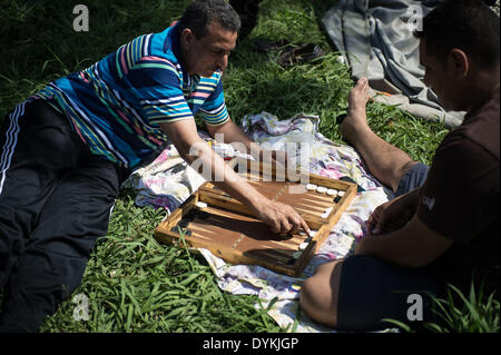 Le Caire, Égypte. Apr 21, 2014. Deux hommes égyptiens jouer à un jeu de parc par le Nil alors qu'ils célèbrent la fête traditionnelle ham 'el-Nessim', littéralement traduit comme 'Smell le Breeze", également connu sous le nom de festival du printemps, au Caire, capitale de l'Égypte, le 21 avril 2014. Source : Xinhua/Chaoyue Pan/Alamy Live News Banque D'Images