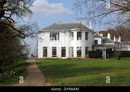 Les fleurs de printemps dans la région de Pembroke Lodge Parc Richmond Surrey UK Banque D'Images