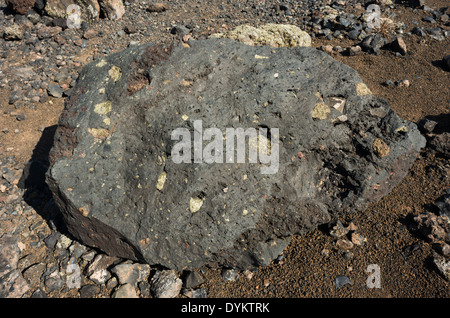 Grande bombe volcanique de lave vésiculeuse basaltique, contenant des xénolithes riches en olivines vertes, suite à une éruption explosive de Montaña Colorada, Lanzarote Banque D'Images