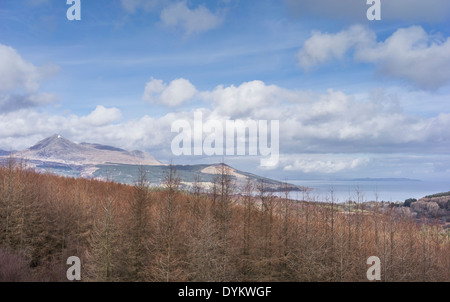 Vue sur la forêt à Goat Fell de Glenrickard sur l'île d'Arran en Écosse. Banque D'Images