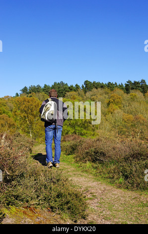 Caucasain Man Walking un parc forestier de Kingsford, Worcestershire, Angleterre, RU au printemps PARUTION MODÈLE Banque D'Images