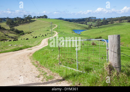 Une longue route de terre de campagne sinueuse qui monte une colline Banque D'Images