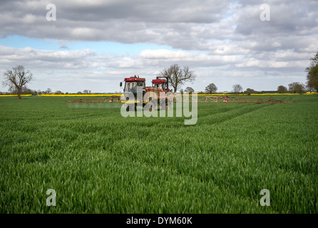 Un tracteur CASE IH avec bras gicleurs traite un champ de blé au début du printemps Banque D'Images