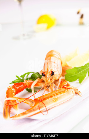 Concept de luxe. Des restaurants raffinés. La langoustine sur fond blanc avec des herbes et du citron. Banque D'Images