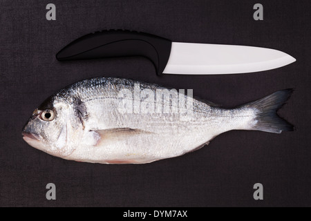 Délicieux avec du poisson de mer bram couteau en céramique noir et blanc isolé sur fond sombre. La cuisson des fruits de mer culinaires de luxe Banque D'Images
