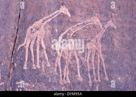 L'art rupestre néolithique, période Bubaline Bubalus ou rock, gravure de girafes, Tadrart, le Tassili n'Ajjer National Park Banque D'Images