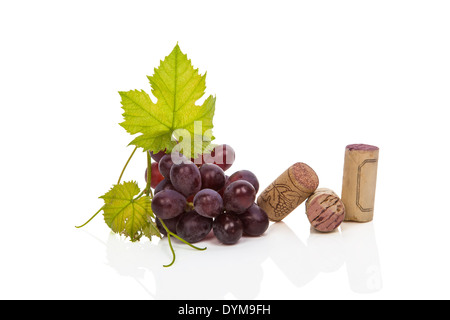 Vin rouge les raisins et divers bouchons isolé sur fond blanc avec la réflexion. Consommation de vins de luxe culinaire. Banque D'Images