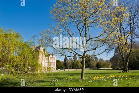 BRODIE CASTLE ET LE DÉBUT DU PRINTEMPS DANS LES JARDINS DE Moray en Écosse Banque D'Images