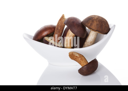 Des champignons frais dans un bol blanc isolé sur fond blanc. Cueillette de champignons en saison naturelle, style contemporain. Banque D'Images