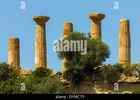 4thc Temple d'Héraclès (Hercule) dans la Vallée des Temples à ce site du patrimoine mondial ; Agrigente, Sicile, Italie Banque D'Images