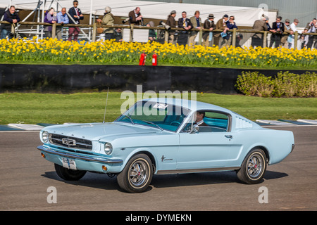 1965 Ford Mustang Fastback V8 289 utilisé comme un cours car à la 72e réunion des membres de Goodwood, Sussex, UK Banque D'Images