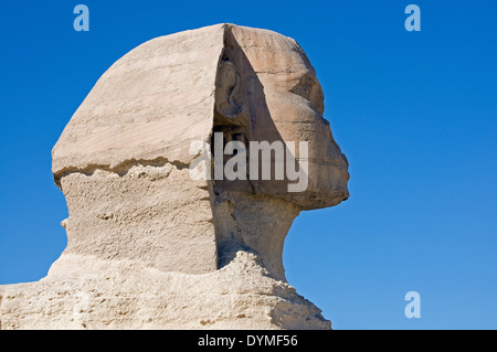 Le profil du Sphinx à El Karnak Temple,Le Caire. Banque D'Images