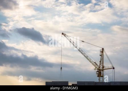 Grue sur fond de ciel nuageux Banque D'Images