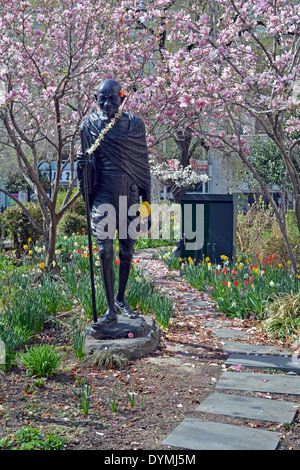 Une statue de Mohandas Gandhi à Union Square Park, à New York, photographié au printemps avec des tulipes et de magnolias. Banque D'Images