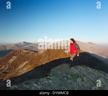 Hillwalker Nantlle sur la crête. Le Parc National de Snowdonia. Le Pays de Galles. UK. Banque D'Images