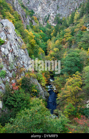 Vue sur la rivière de bon augure dans la Bodetal / Vallée de Bode, Harz, Thale, Saxe-Anhalt, Allemagne Banque D'Images